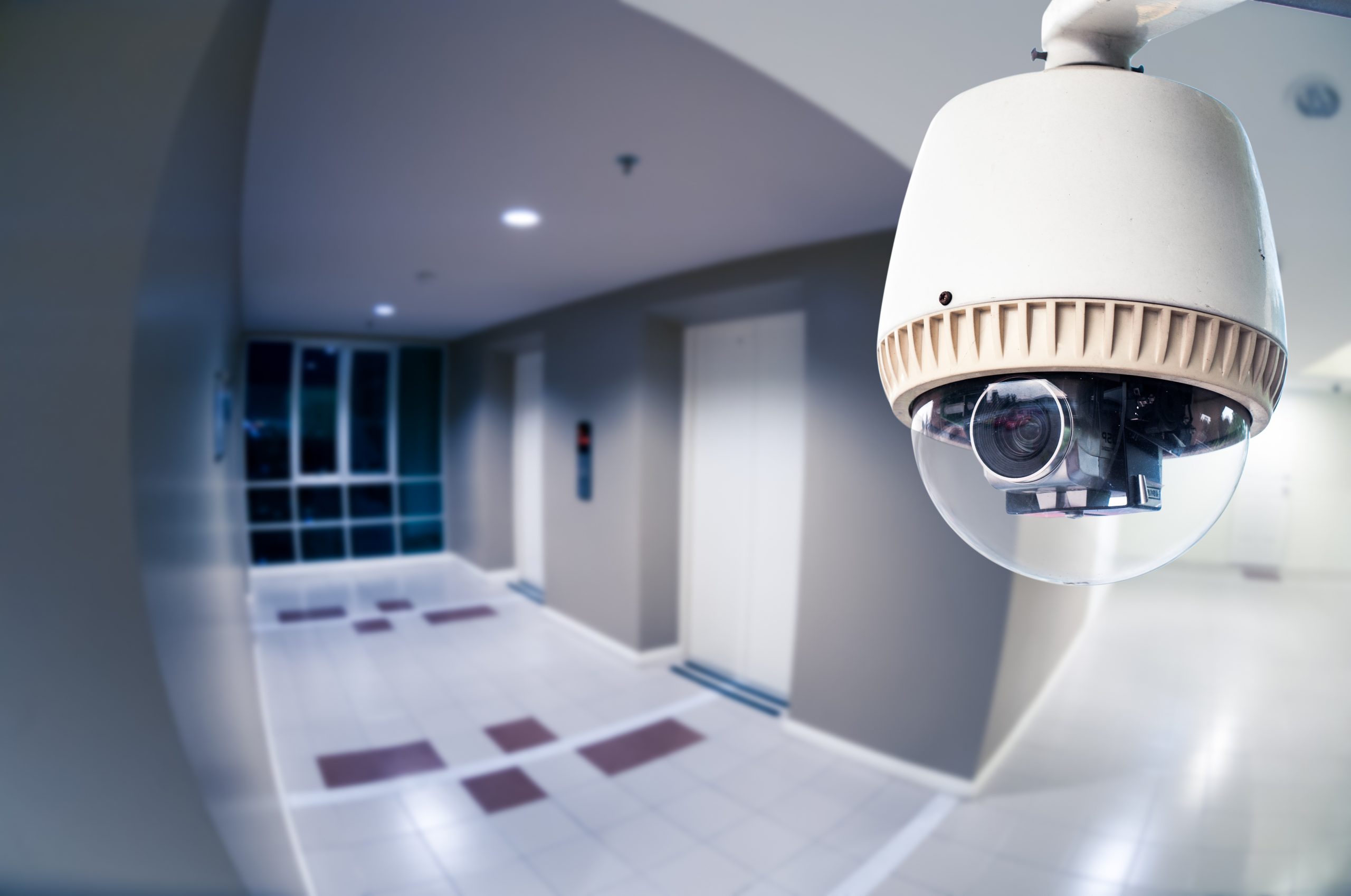 Nj 511 Cameras - i7yajrk
